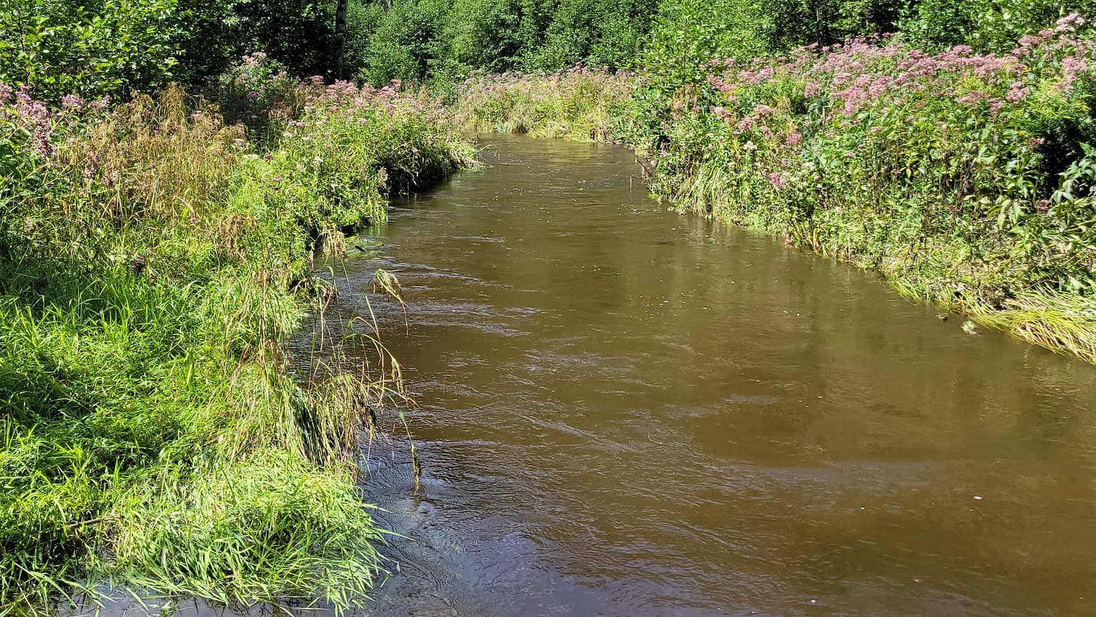 Stream along lots 11 to 14