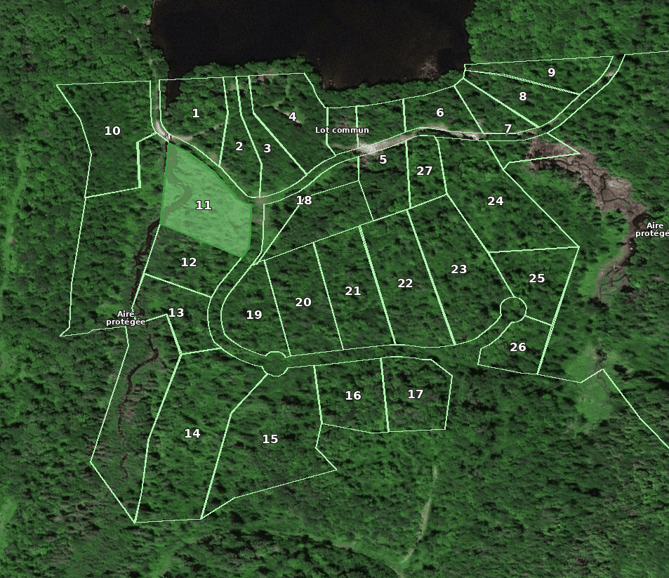Lot 11 location