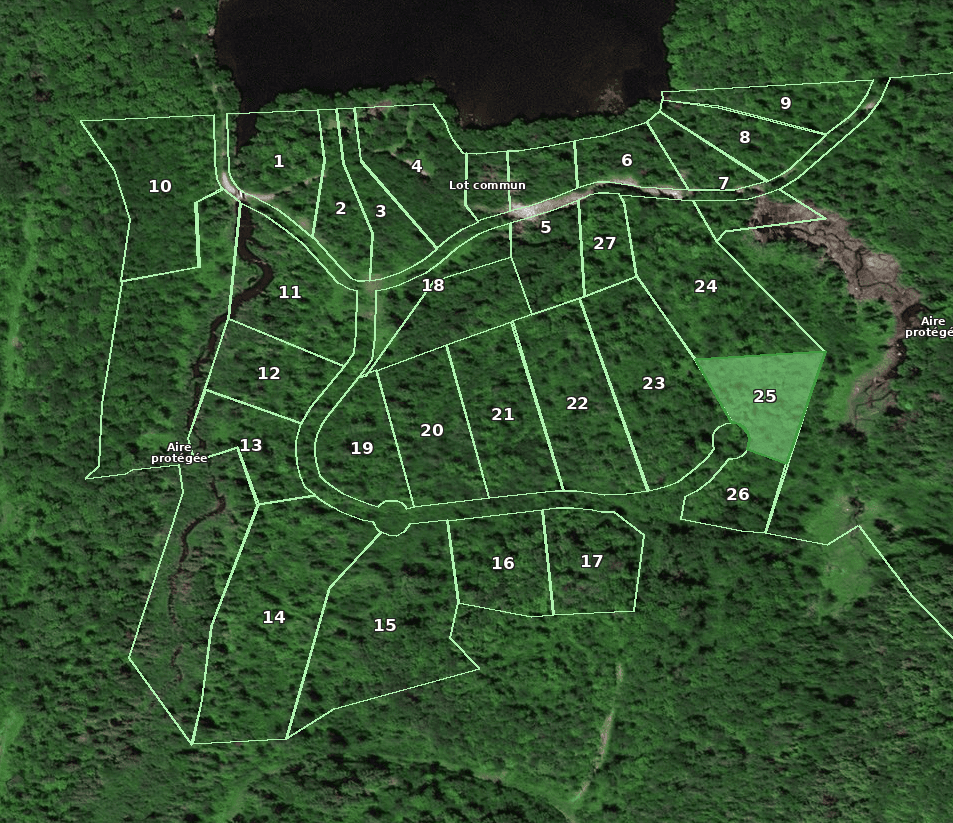 Lot 25 location