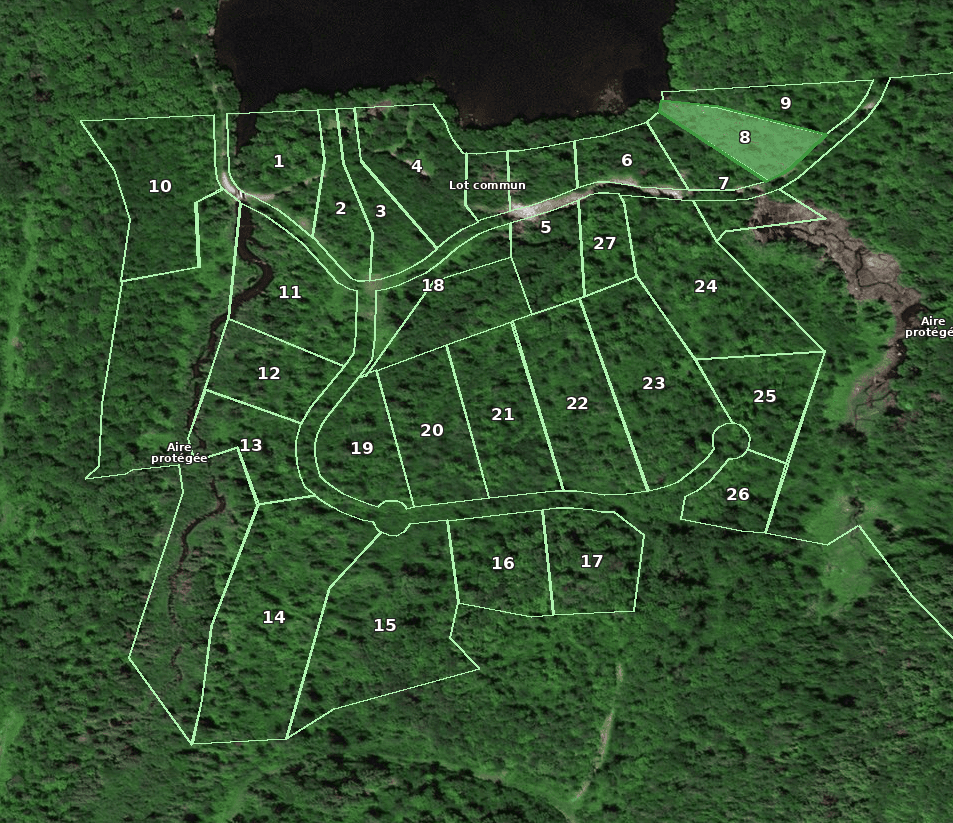 Lot 8 location